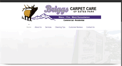 Desktop Screenshot of briggscarpetcare.com