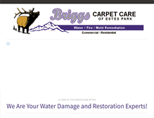 Tablet Screenshot of briggscarpetcare.com